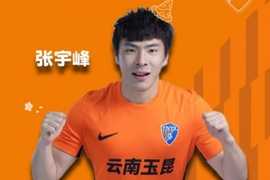 祝张宇峰，徐宏杰生日快乐