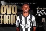 大手笔！德转显示：铁人签下热菲尼奥、瓦吉奇、严鼎皓等6人