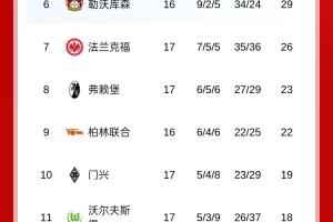 半程不败！德甲积分榜：拜仁11分优势领跑，积分平队史纪录