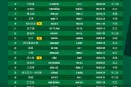国安中超名单:五门将在列韩佳奇改穿22号,斯帕吉奇无缘