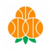 科平星