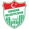 土耳其金属